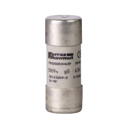 DF3FN100-bezpiecznik-DF-wym-22x58mm-gG-100A-ze-wskaźnik-Schneider-Electric